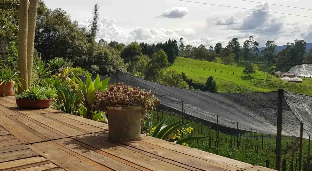 Stunning mountain landscape views from the cabin at Rionegro